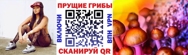 Галлюциногенные грибы MAGIC MUSHROOMS маркетплейс Telegram Верея даркнет сайт